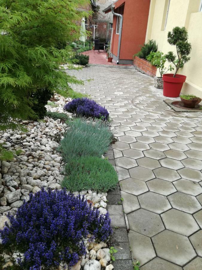 Apartman Centar Krusevac Exterior photo